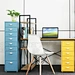 metal multi-drawer cabinet