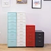 metal multi-drawer cabinet